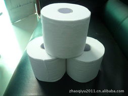 安丘市雅轩包装制品 精选个人卫生用纸产品指南